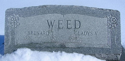 Descendant of Gilbert Weed?